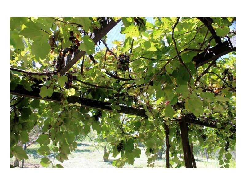 436 Roseberry Creek Road – Roseberry, Kyogle NSW 2474