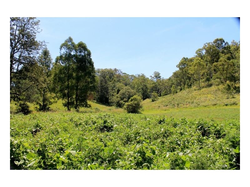 436 Roseberry Creek Road – Roseberry, Kyogle NSW 2474