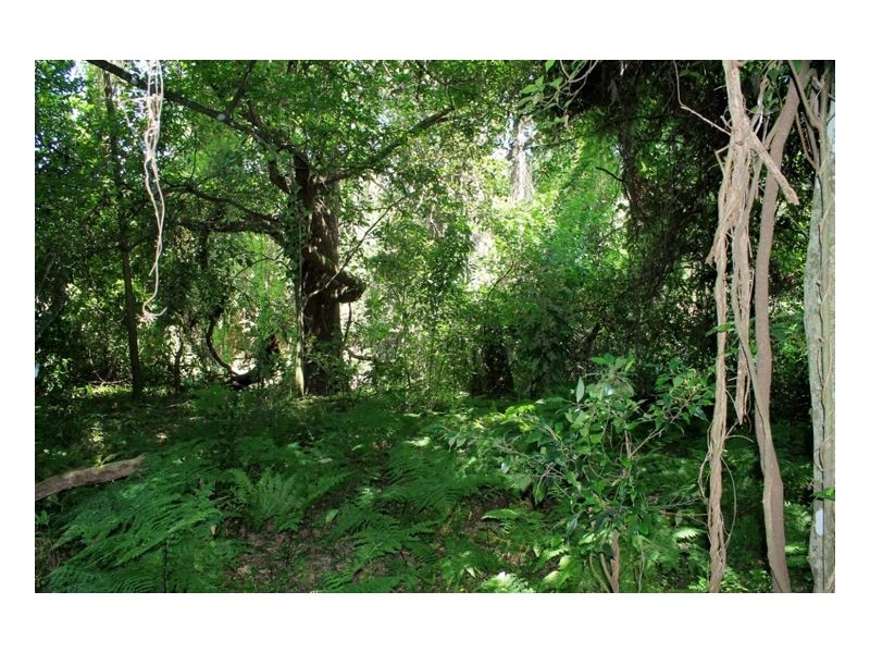 436 Roseberry Creek Road – Roseberry, Kyogle NSW 2474