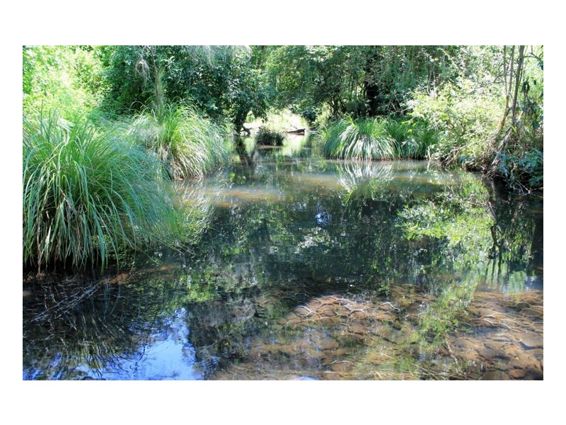 436 Roseberry Creek Road – Roseberry, Kyogle NSW 2474