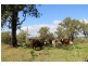 222 Omagh Rd, Kyogle NSW 2474