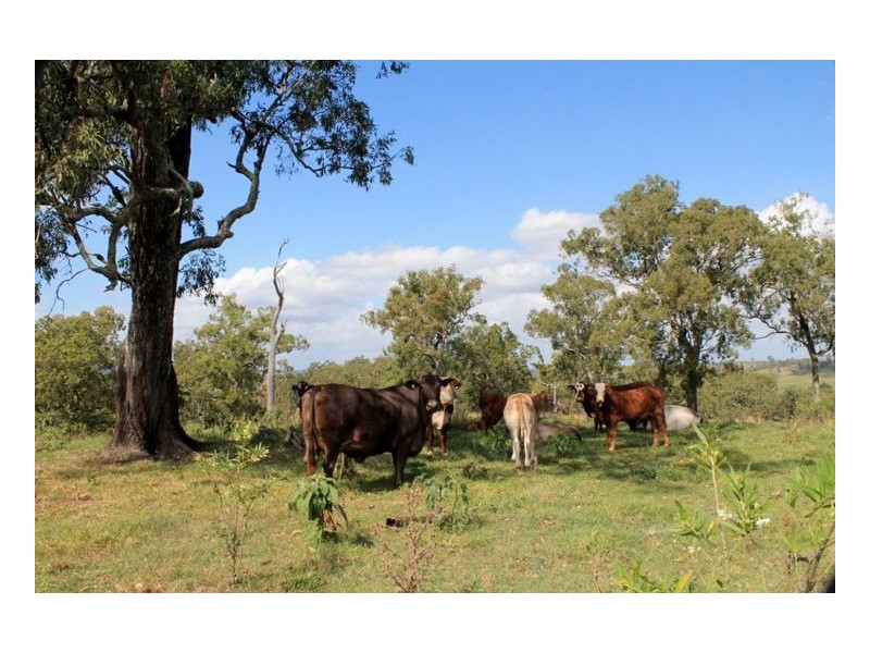 222 Omagh Rd, Kyogle NSW 2474
