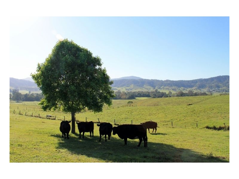 150 Collins Creek Road, Kyogle NSW 2474