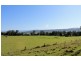 150 Collins Creek Road, Kyogle NSW 2474