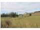 Lot 12 Pines Road – Edenville, Kyogle NSW 2474