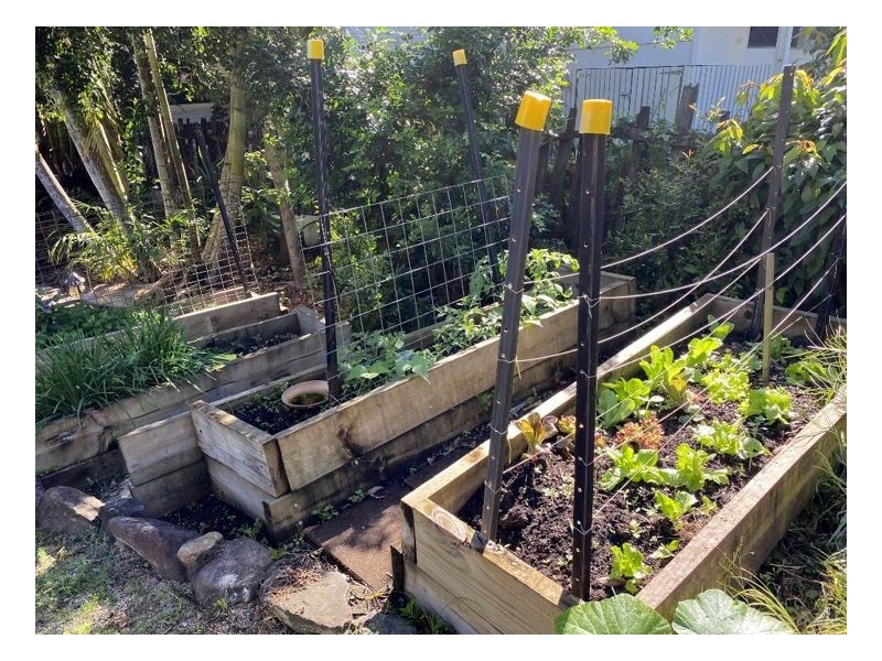 35 Stratheden Street, Kyogle NSW 2474