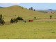 Kyogle NSW 2474