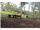 Kyogle NSW 2474