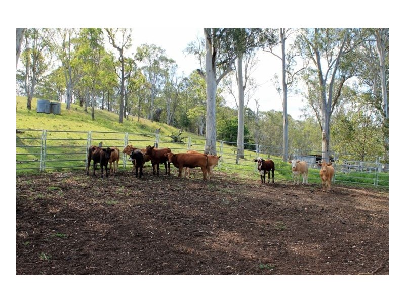 Kyogle NSW 2474