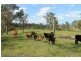 Kyogle NSW 2474