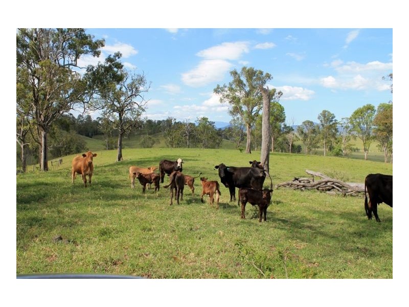 Kyogle NSW 2474