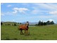 Kyogle NSW 2474