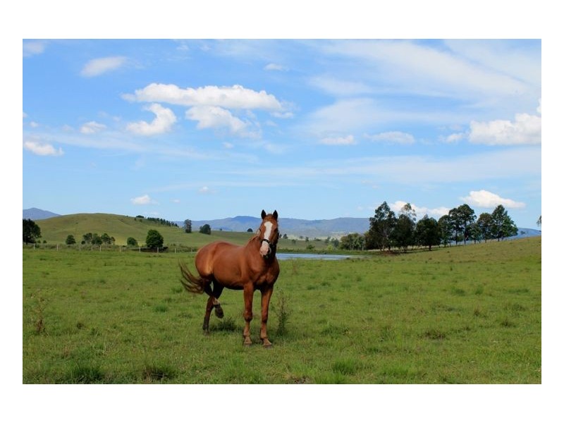 Kyogle NSW 2474