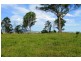 Kyogle NSW 2474