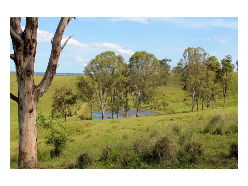 Kyogle NSW 2474