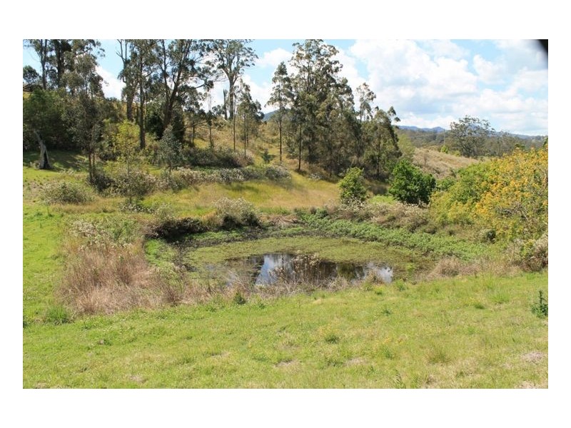 1441 Collins Creek Road – Collins Creek, Kyogle NSW 2474