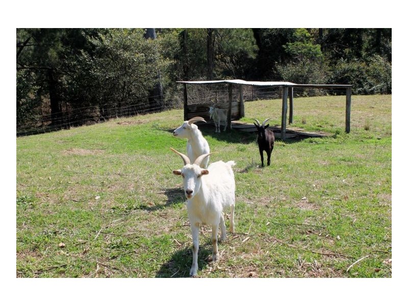 129 Simes Road – Gradys Creek, Kyogle NSW 2474