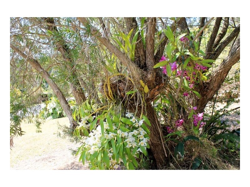 21 Rous Street, Kyogle NSW 2474