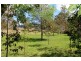 229 Killaloe Road – Green Pigeon, Kyogle NSW 2474