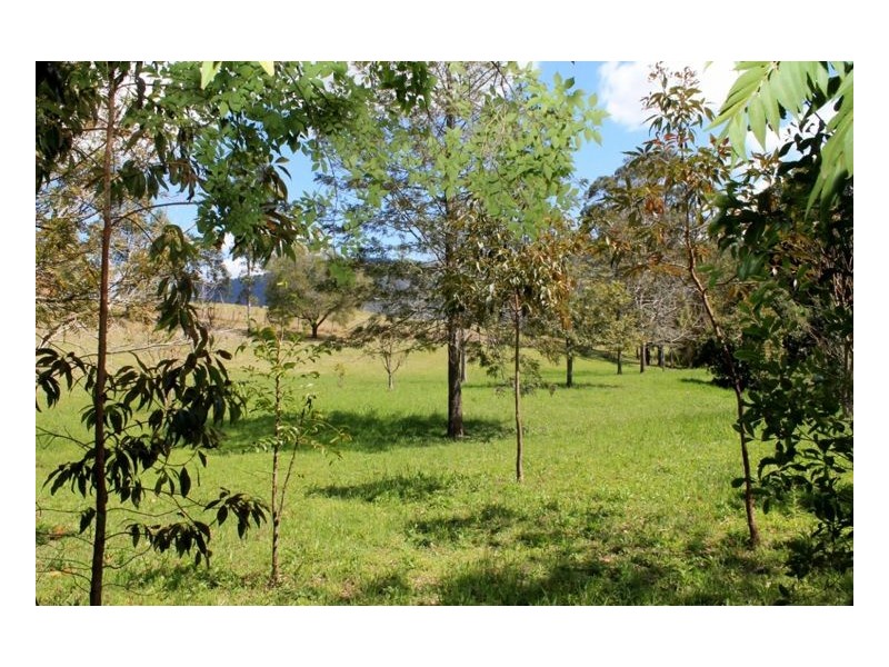 229 Killaloe Road – Green Pigeon, Kyogle NSW 2474