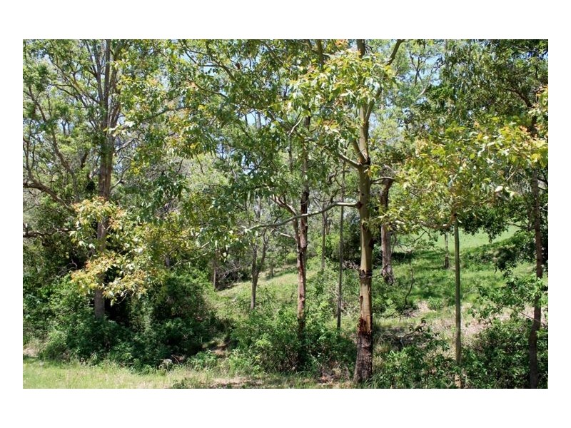 319 Blackhorse Creek Road – Eden Creek, Kyogle NSW 2474