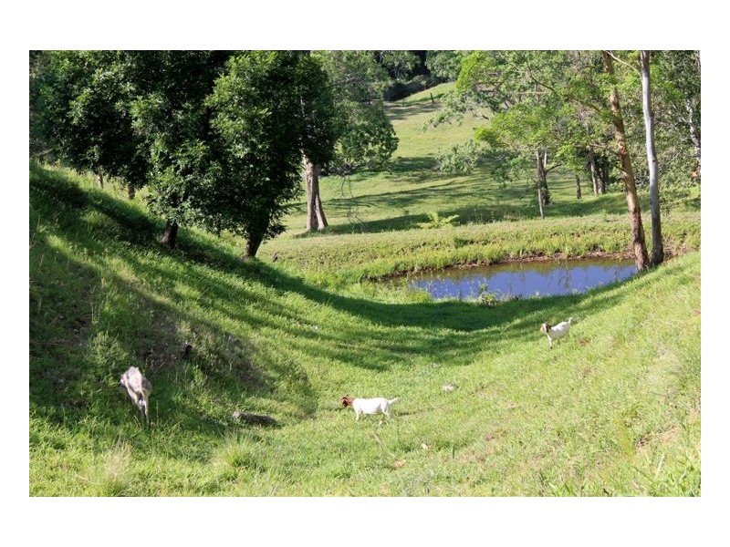 393 Boorabee Creek Road – Boorabee, Kyogle NSW 2474