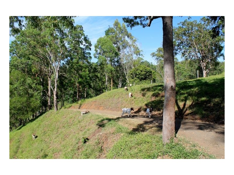 393 Boorabee Creek Road – Boorabee, Kyogle NSW 2474