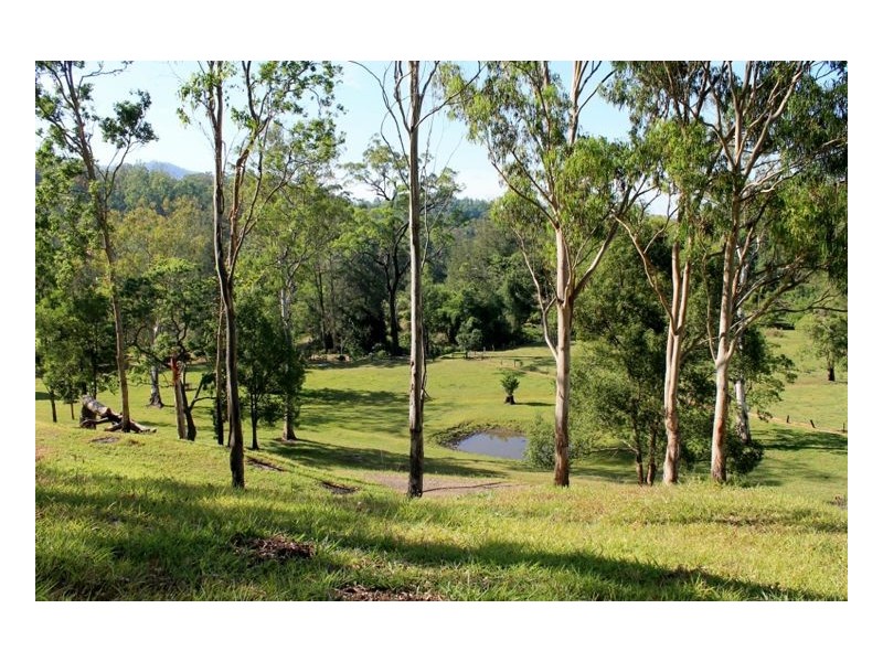 393 Boorabee Creek Road – Boorabee, Kyogle NSW 2474