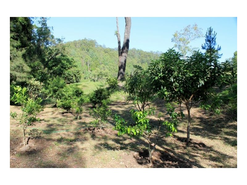 393 Boorabee Creek Road – Boorabee, Kyogle NSW 2474