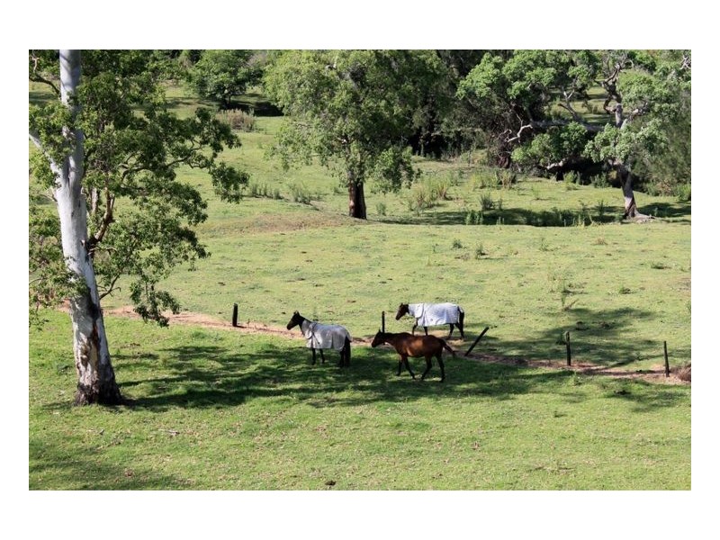 393 Boorabee Creek Road – Boorabee, Kyogle NSW 2474