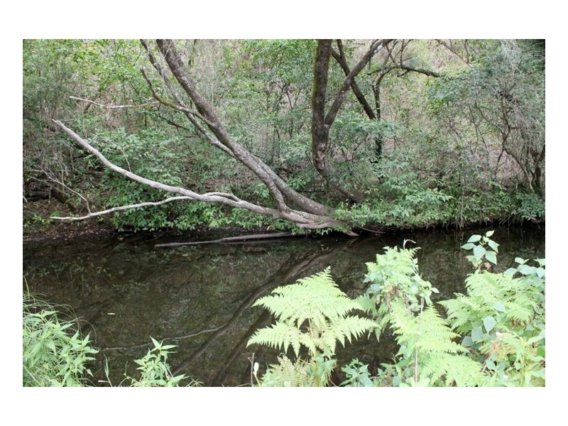 996 Eden Creek Road – Upper Eden Creek, Kyogle NSW 2474