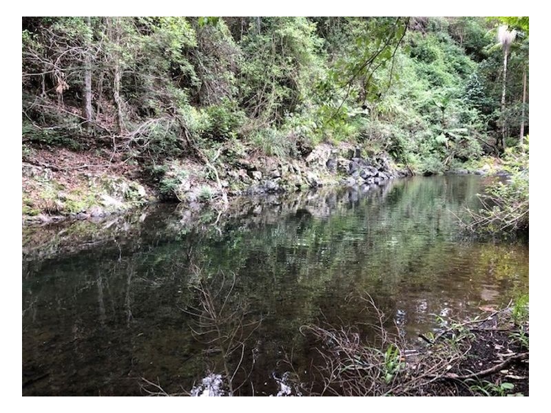 2226 Collins Creek Road – Collins Creek, Kyogle NSW 2474