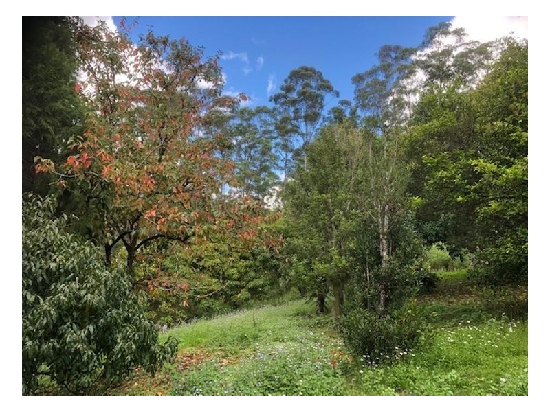 2226 Collins Creek Road – Collins Creek, Kyogle NSW 2474