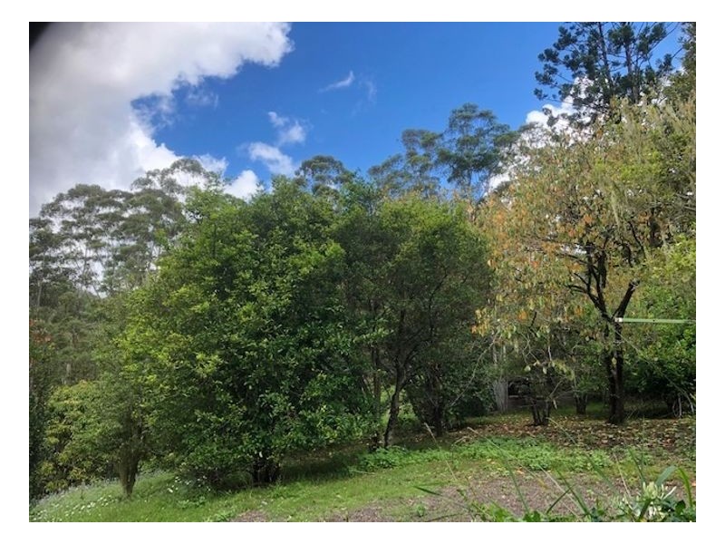 2226 Collins Creek Road – Collins Creek, Kyogle NSW 2474