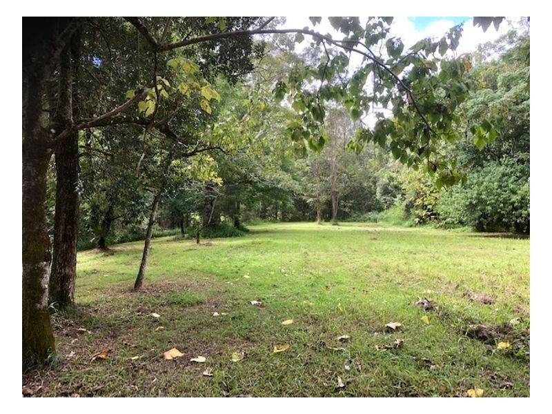 2226 Collins Creek Road – Collins Creek, Kyogle NSW 2474