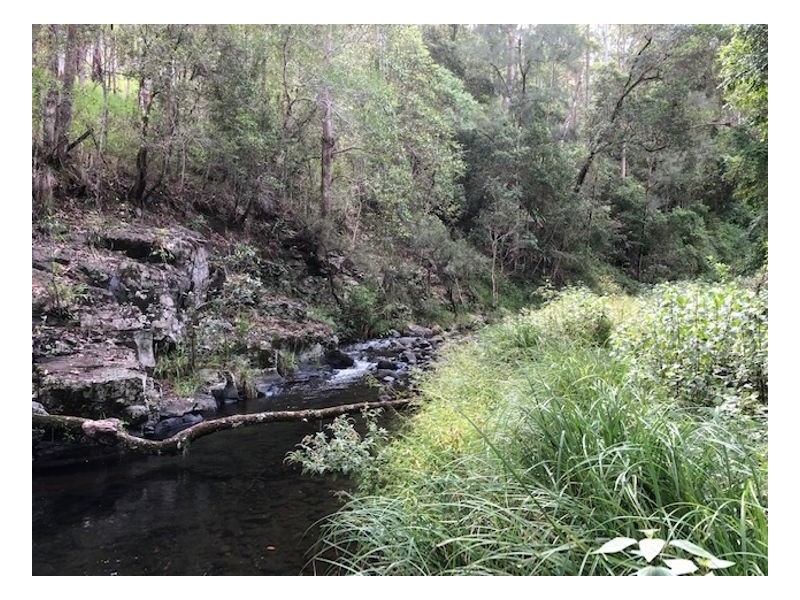 2226 Collins Creek Road – Collins Creek, Kyogle NSW 2474