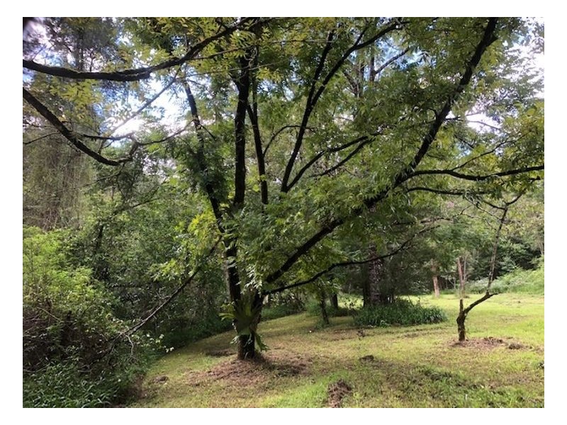 2226 Collins Creek Road – Collins Creek, Kyogle NSW 2474