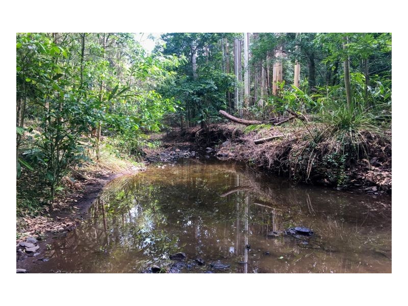 Lot 55 – 321 Blackhorse Creek Road – Eden Creek, Kyogle NSW 2474