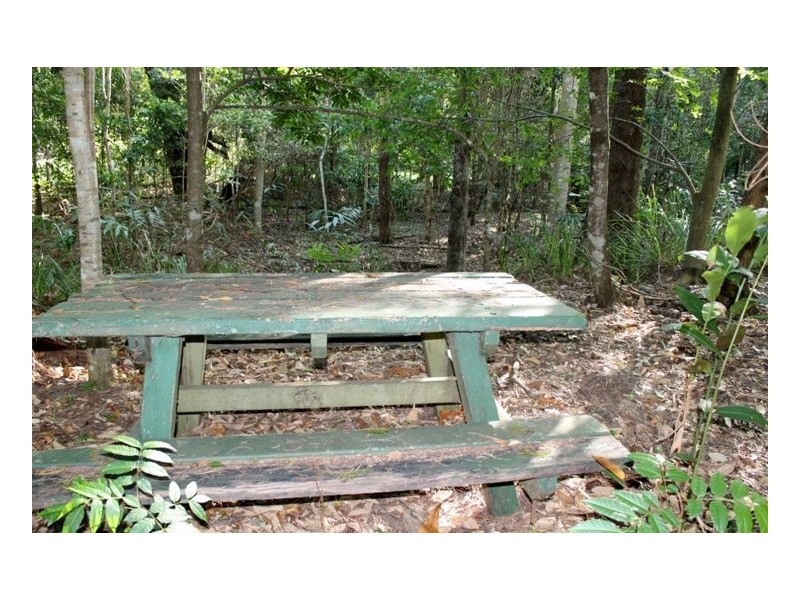 Lot 55 – 321 Blackhorse Creek Road – Eden Creek, Kyogle NSW 2474