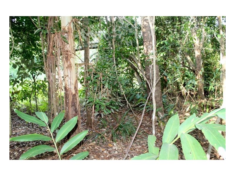 Lot 55 – 321 Blackhorse Creek Road – Eden Creek, Kyogle NSW 2474