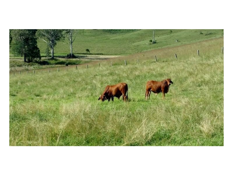 80 Masons Road, Kilgra, Kyogle NSW 2474