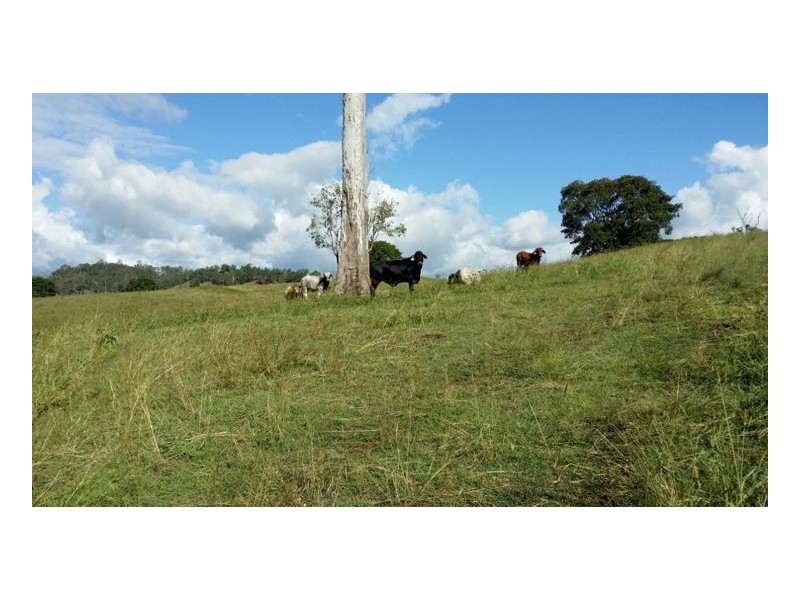 80 Masons Road, Kilgra, Kyogle NSW 2474