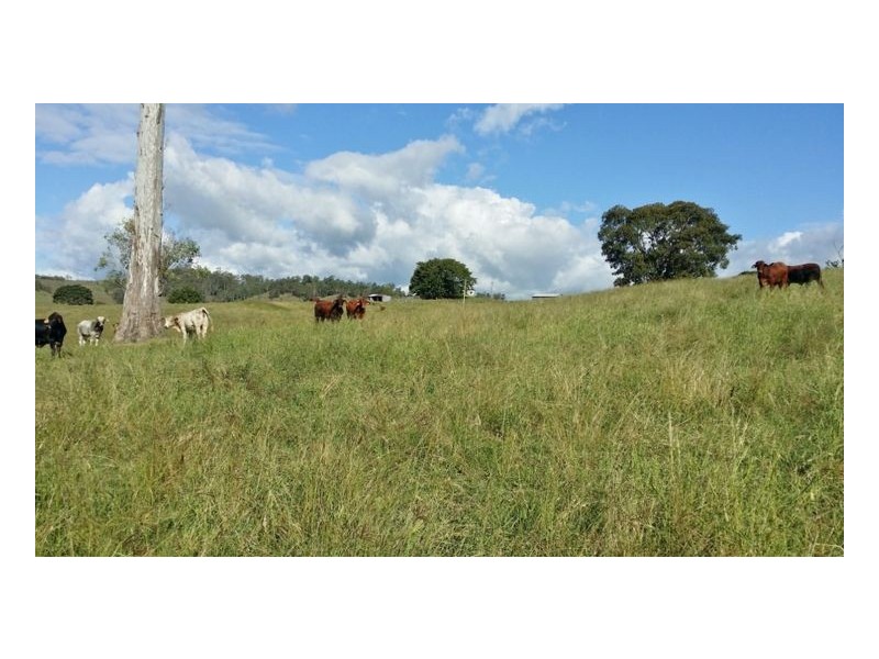 80 Masons Road, Kilgra, Kyogle NSW 2474