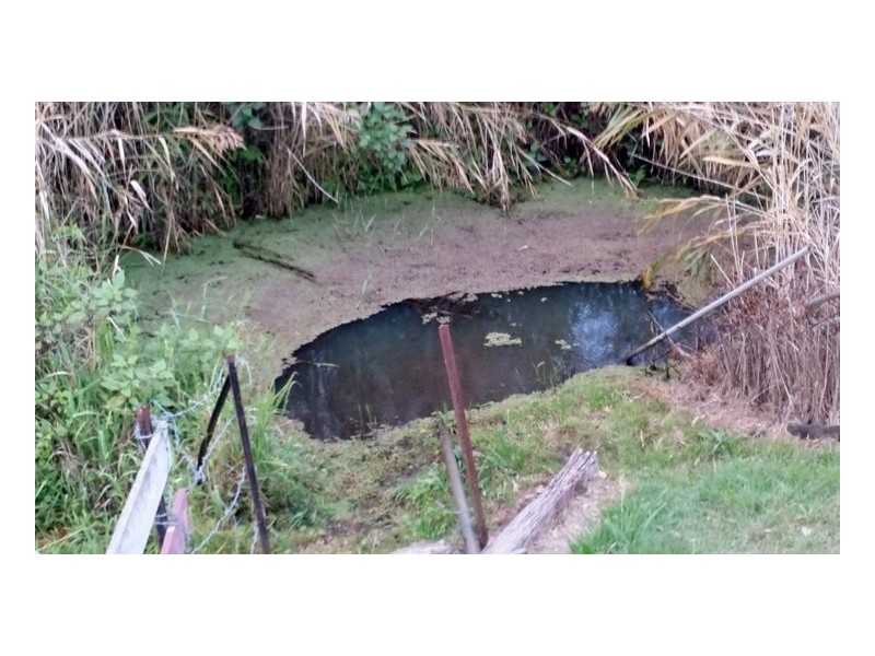 80 Masons Road, Kilgra, Kyogle NSW 2474