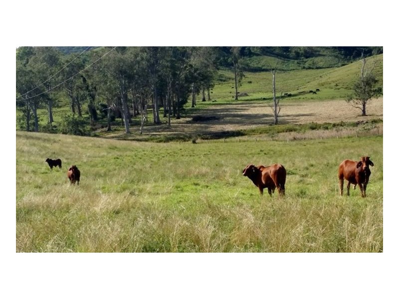 80 Masons Road, Kilgra, Kyogle NSW 2474