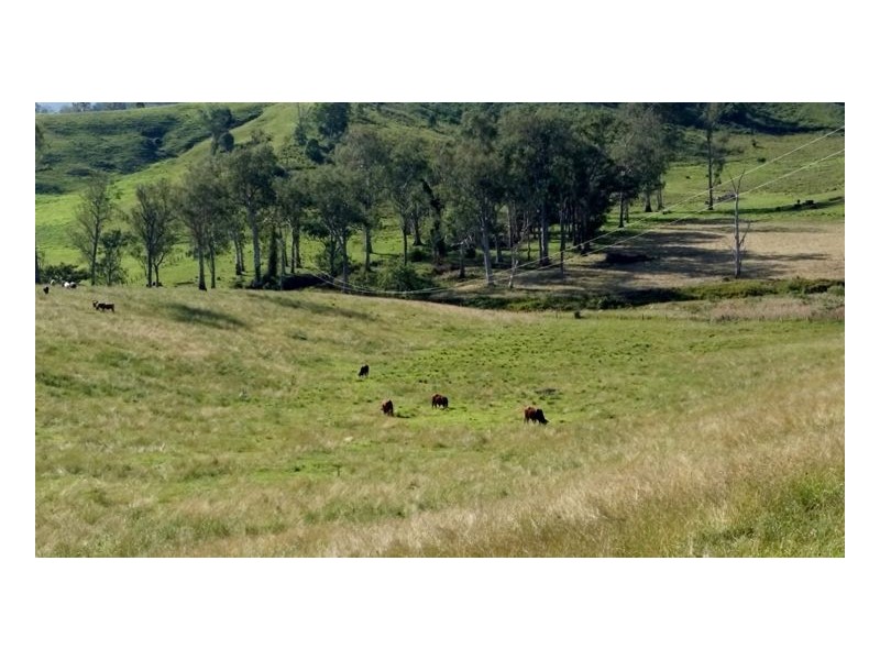 80 Masons Road, Kilgra, Kyogle NSW 2474