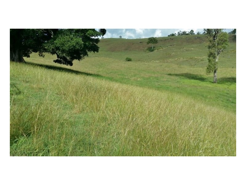 80 Masons Road, Kilgra, Kyogle NSW 2474