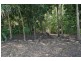 #58 McDougall Street, Kyogle NSW 2474