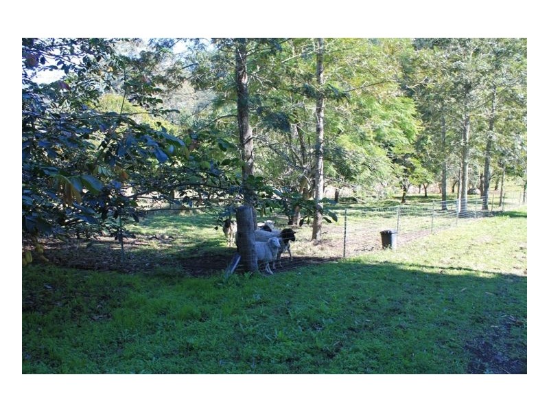 1264 Lynches Creek Road, Lynches Creek, Kyogle NSW 2474