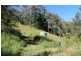 1264 Lynches Creek Road, Lynches Creek, Kyogle NSW 2474